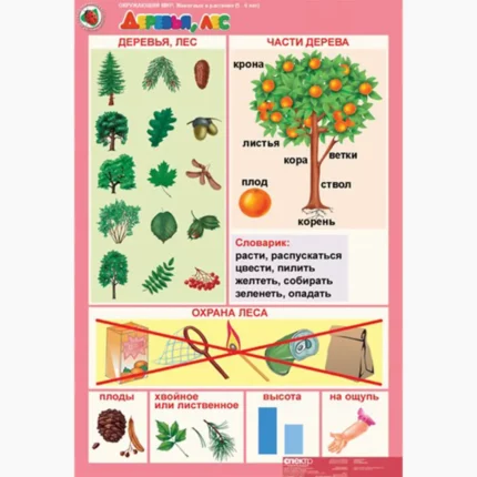 Окружающий мир 5-6 лет. "Животные и растения".