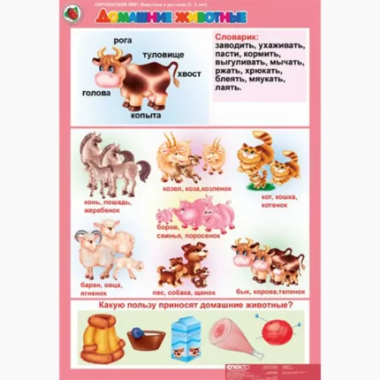 Окружающий мир 5-6 лет. "Животные и растения".