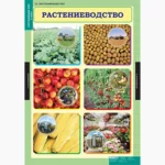 Окружающий мир 3 класс