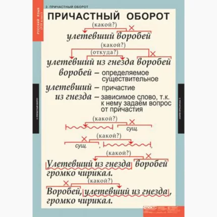 Русский язык 7 класс