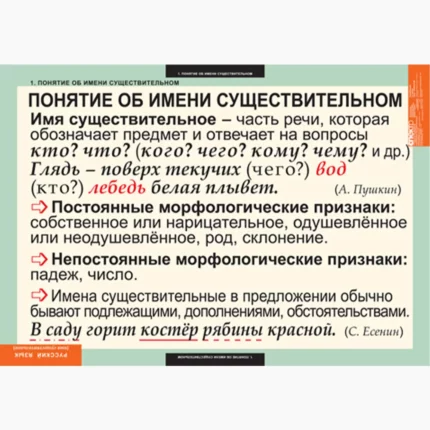 Русский язык. Имя существительное