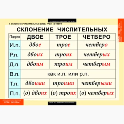 Русский язык. Числительные и местоимения