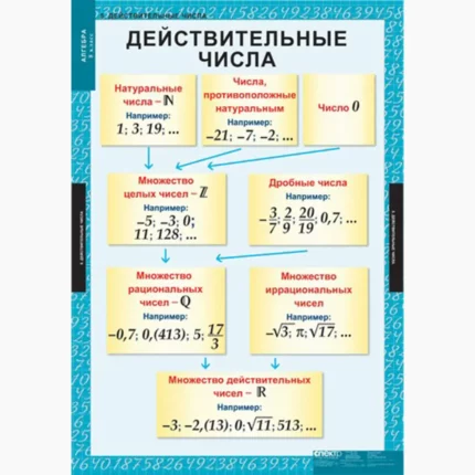 Алгебра 8 класс