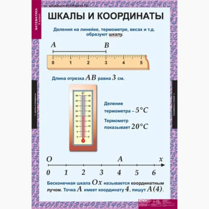 Математика 6 класс