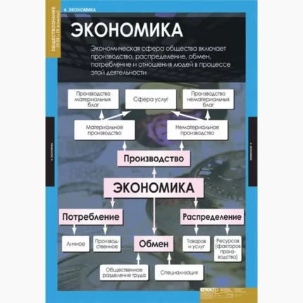 Обществознание 8-9 классы
