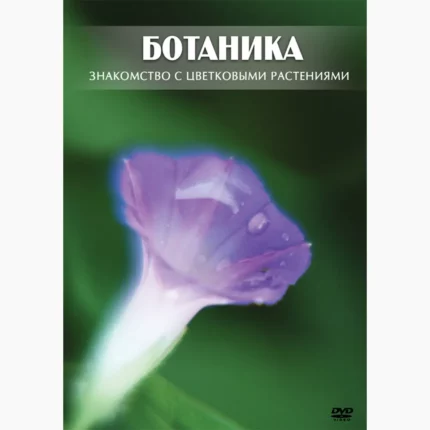 Ботаника. Знакомство с цветковыми растениями