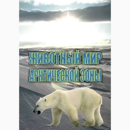 Животный мир Арктической зоны